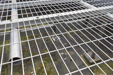 苗床網(wǎng)片 苗床網(wǎng)片