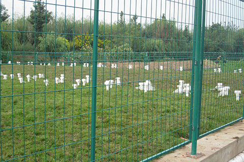 道路護欄網(wǎng) 道路護欄網(wǎng)